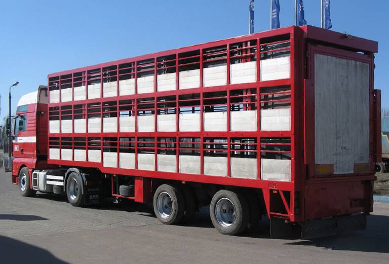 Заказать скотовоз для крупного рогатого скота из Синегорского в Петрокаменское
